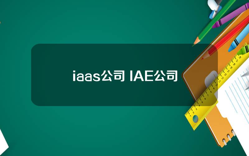 iaas公司 IAE公司